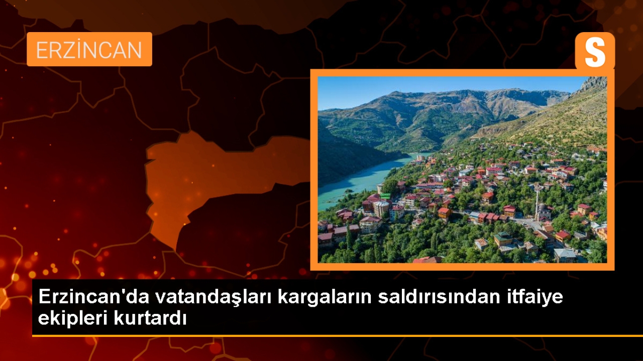Erzincan'da Karga Yavrusunu Korumak İçin Vatandaşlara Zor Anlar Yaşattılar