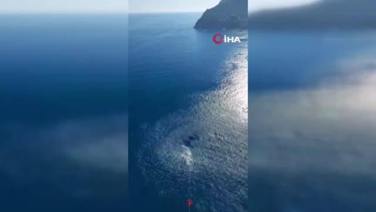Antalya'da Alanya ilçesinde orman yangını çıktı