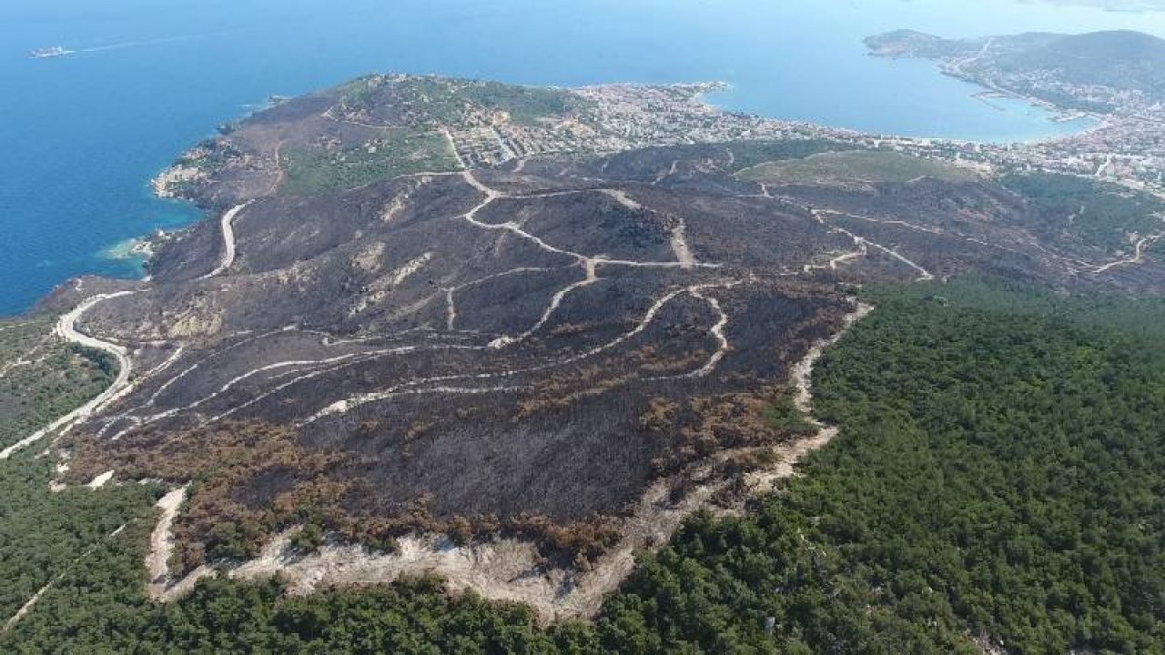 20 günlük orman yangını bilançosu: 3 bin 160 hektar alan zarar gördü
