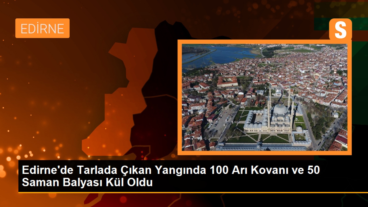 Edirne'de Tarlada Çıkan Yangında 100 Arı Kovanı ve 50 Saman Balyası Kül Oldu