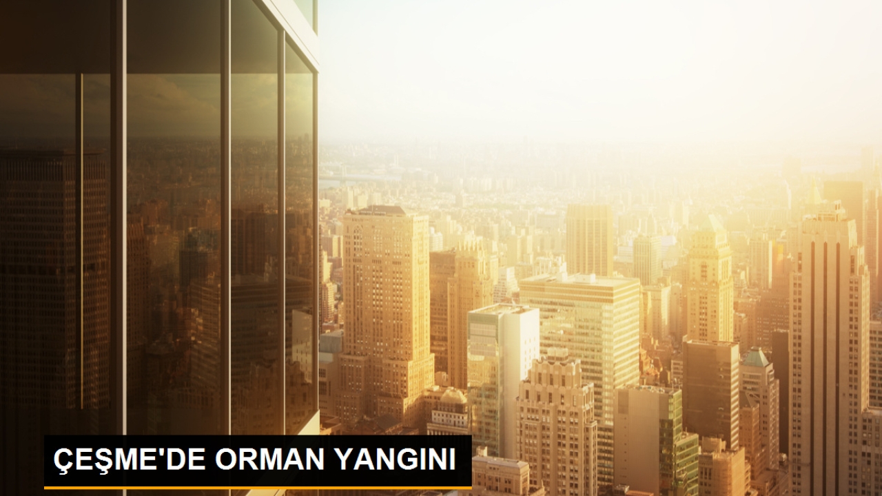 Çeşme'de Orman Yangını