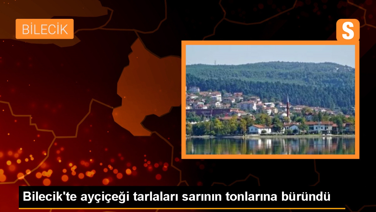 Bilecik'te Ayçiçeği Tarlaları Sarıya Büründü