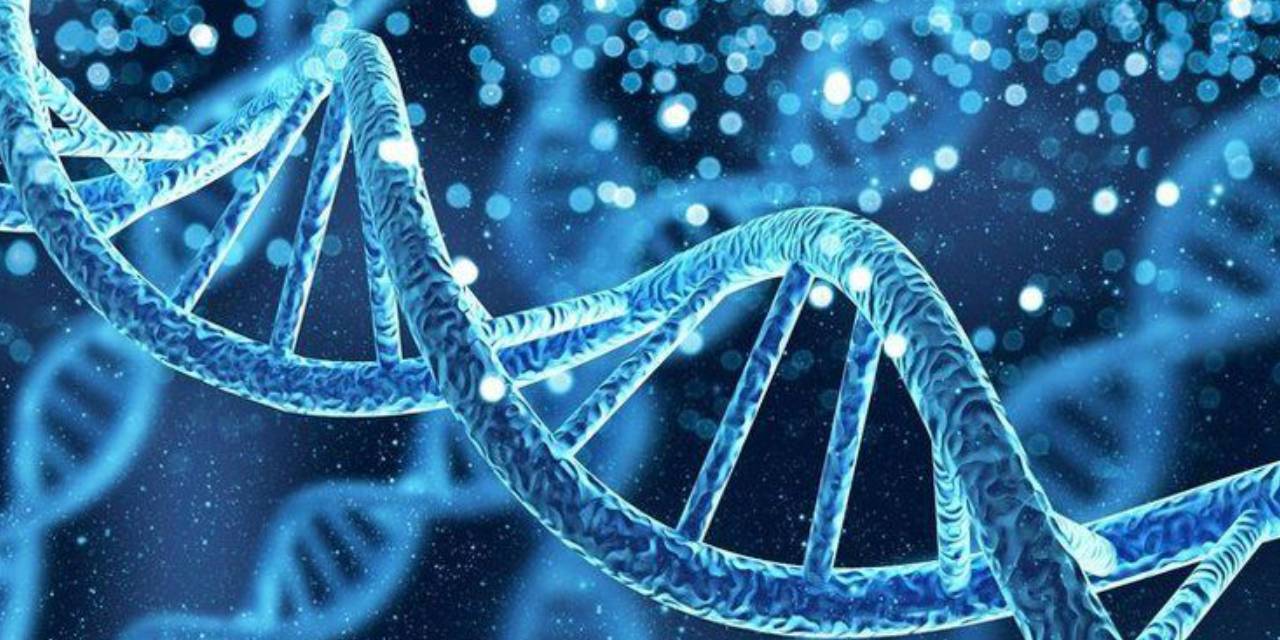 ARAŞTIRMA Esrarın insan DNA'sını tamamen değiştirdiği ortaya çıktı