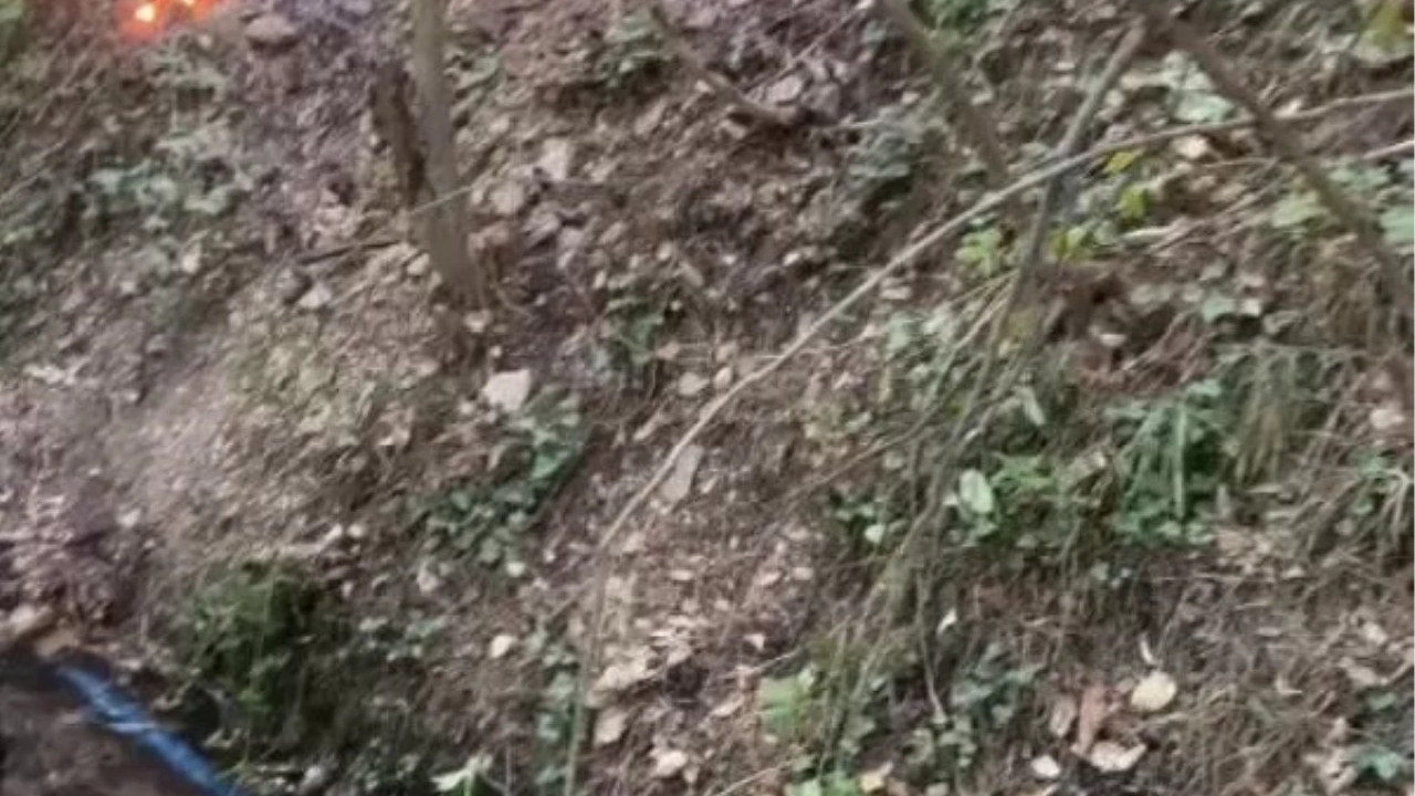 Uludağ'ın eteklerindeki orman yangınına karadan müdahale başladı
