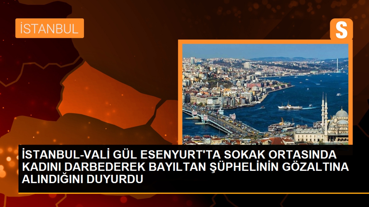 İstanbul Valisi, sokak ortasında kadını döven şüphelinin gözaltına alındığını duyurdu