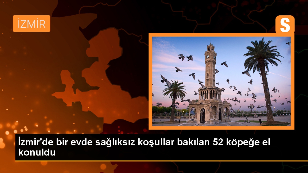 İzmir'de Sağlıksız Koşullarda Bakılan 52 Köpek Barınağa Götürüldü