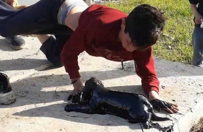 Çocuklar, petrol kuyusuna düşen yavru köpeği böyle kurtardı