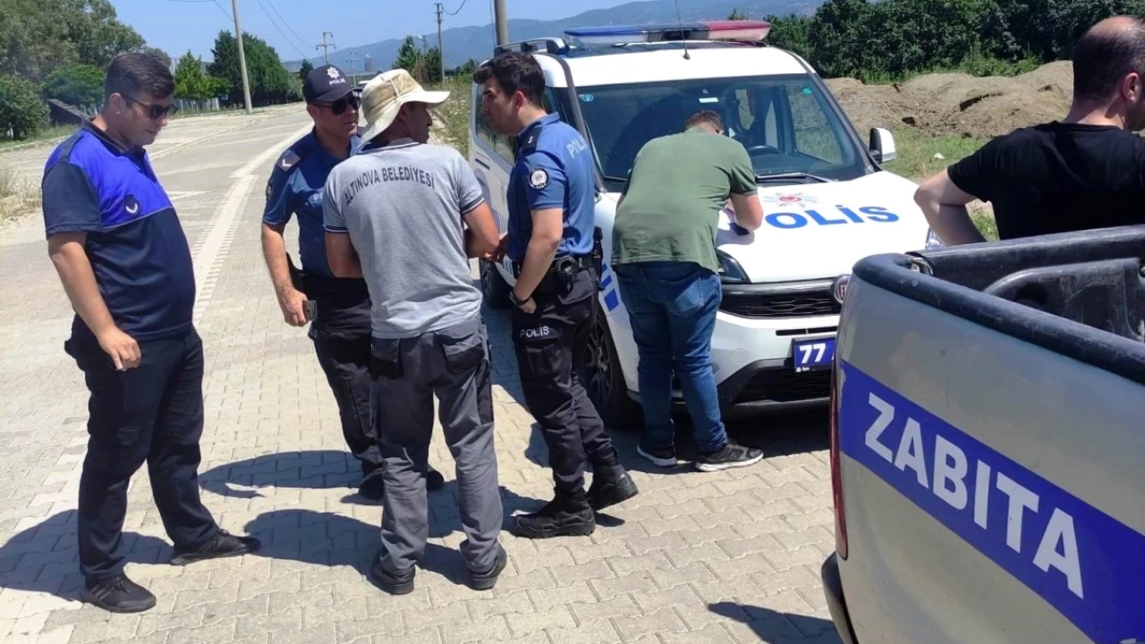Yalova Altınova Belediyesi Zabıta Amirliği, Deniz Börülcesi Toplayan Şahsı Yakaladı
