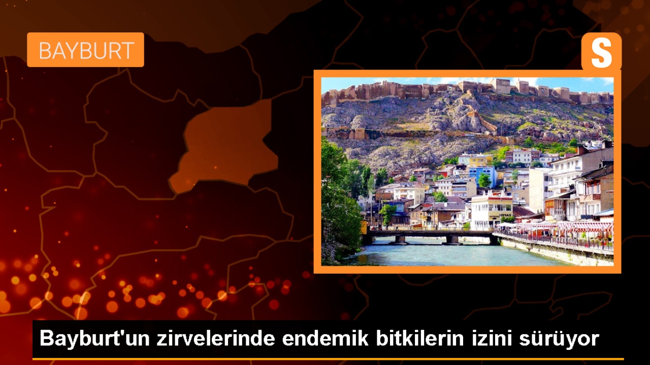 Bayburt'ta Endemik Bitki Türleri Araştırılıyor