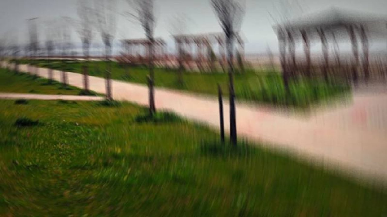 Parkta oturan çifte 