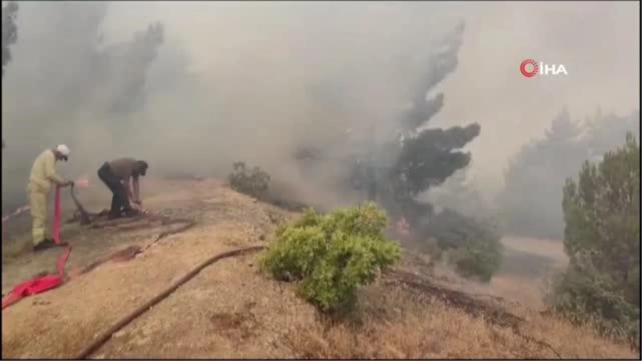 Kahramanmaraş'ta orman yangınına müdahale sürüyor