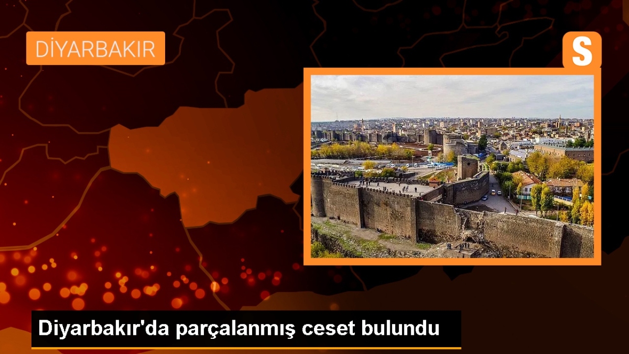 Diyarbakır'ın Hazro ilçesinde parçalanmış erkek cesedi bulundu