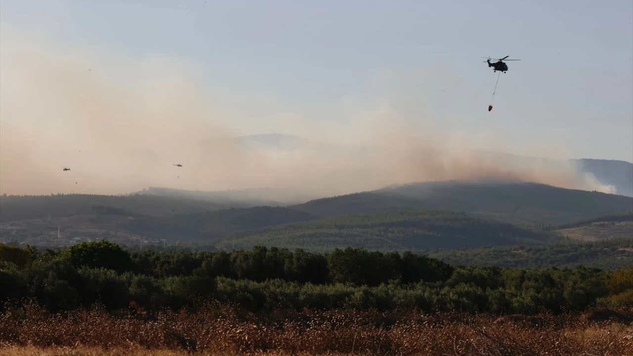 Manisa Saruhanlı'da Orman Yangını: Havadan ve Karadan Müdahale Ediliyor