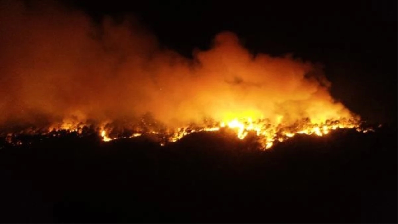 Kemer'deki yangına 75 araç ile müdahale
