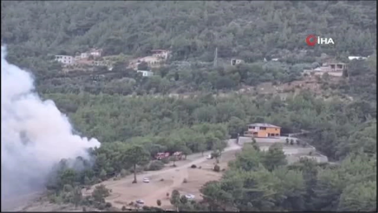 Kozan'da Orman Yangını