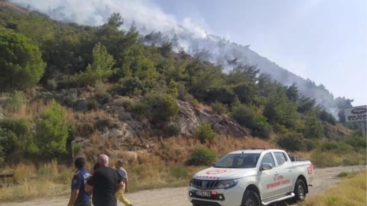 Aydın Söke'de çıkan orman yangını 2,5 saatte kontrol altına alındı