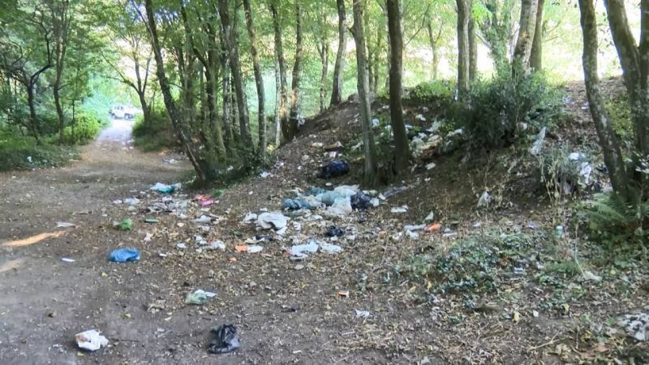 Çöplerini bırakıp gidiyorlar; 3 günde Belgrad Ormanı'ndan 18 ton çöp toplandı