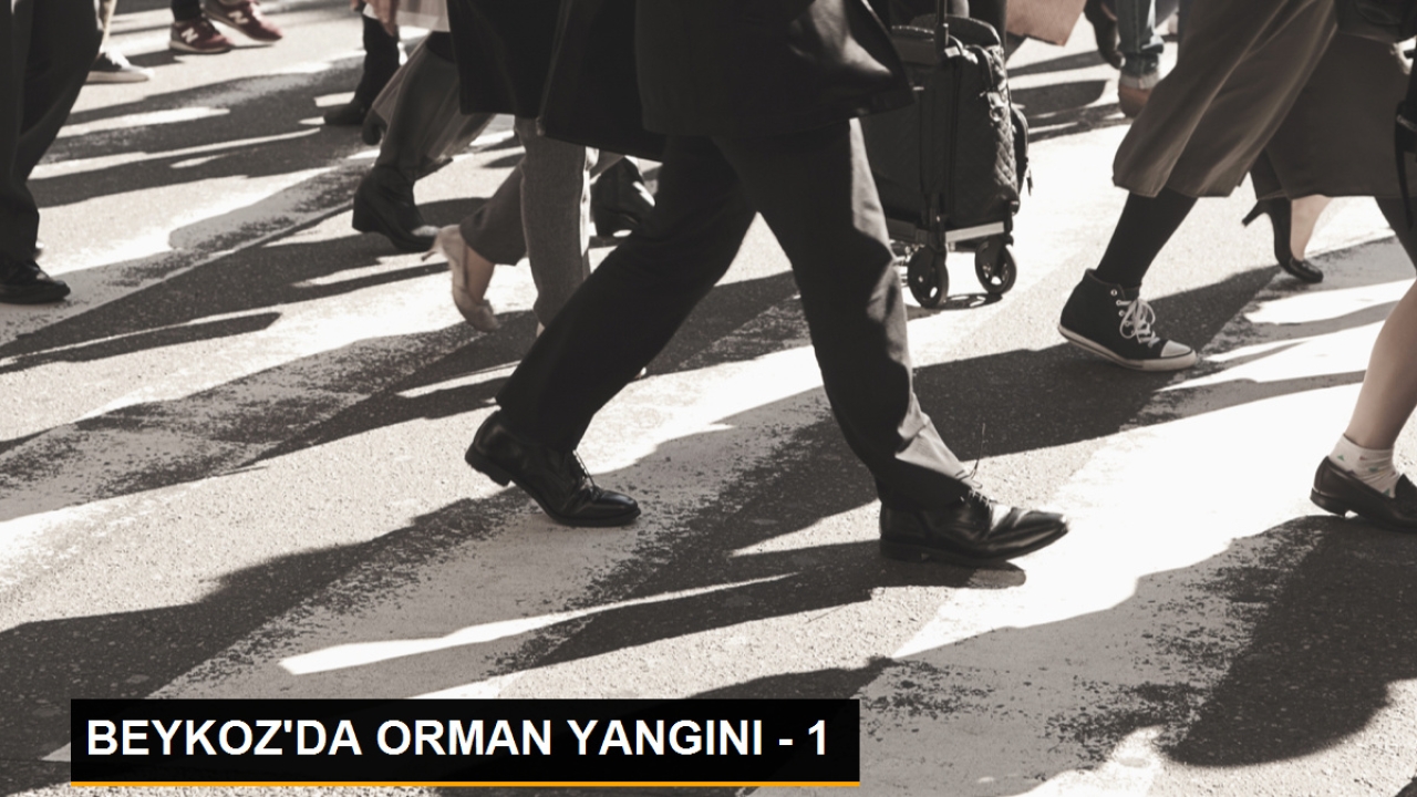 Beykoz'da orman yangını - 1