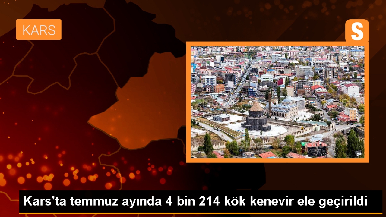 Kars'ta 4 Bin 214 Kök Kenevir Ele Geçirildi