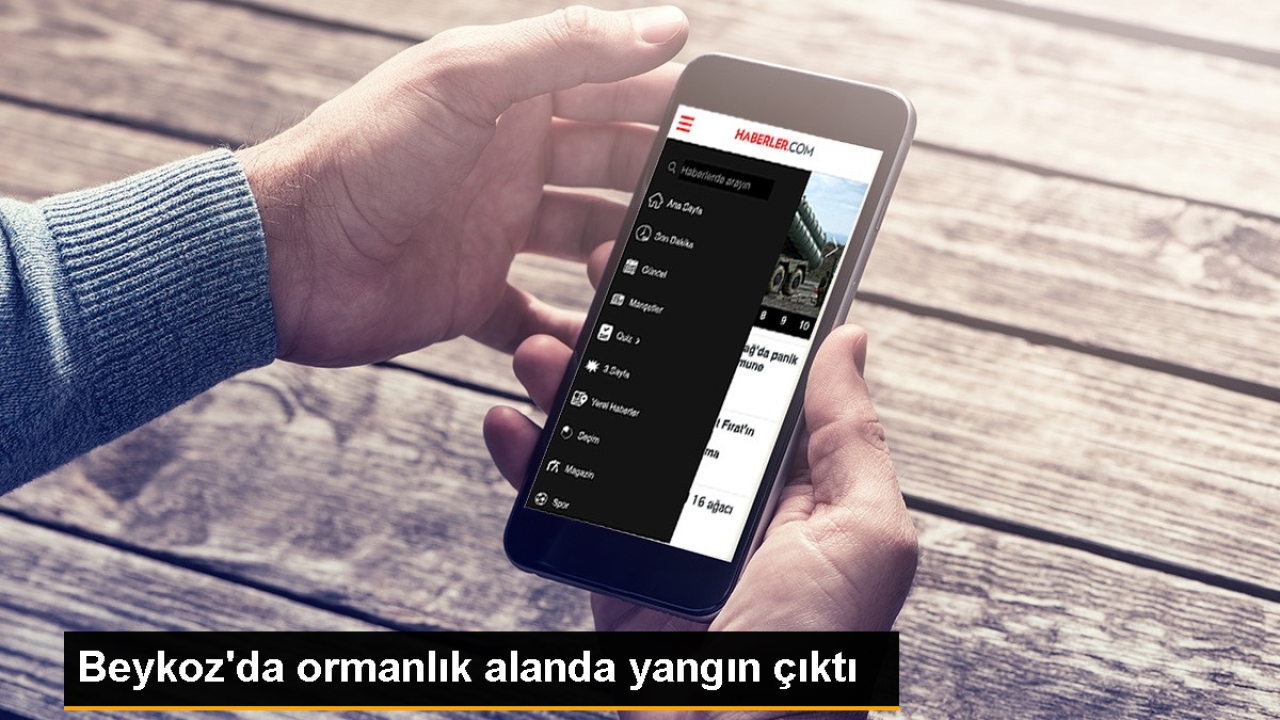 Beykoz'da ormanlık alanda yangın çıktı