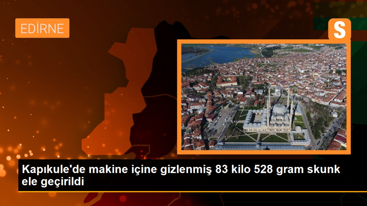 Kapıkule'de Gizlenmiş Skunk Ele Geçirildi
