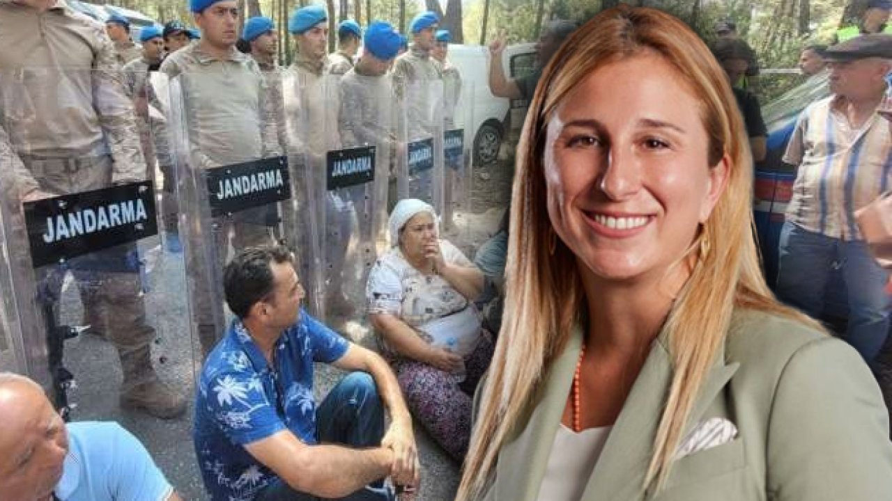 Doğal Hayatı Koruma Vakfı mütevelli heyeti üyesiydi! Limak Yönetim Kurulu Başkanı Ebru Özdemir, üyelikten ayrı