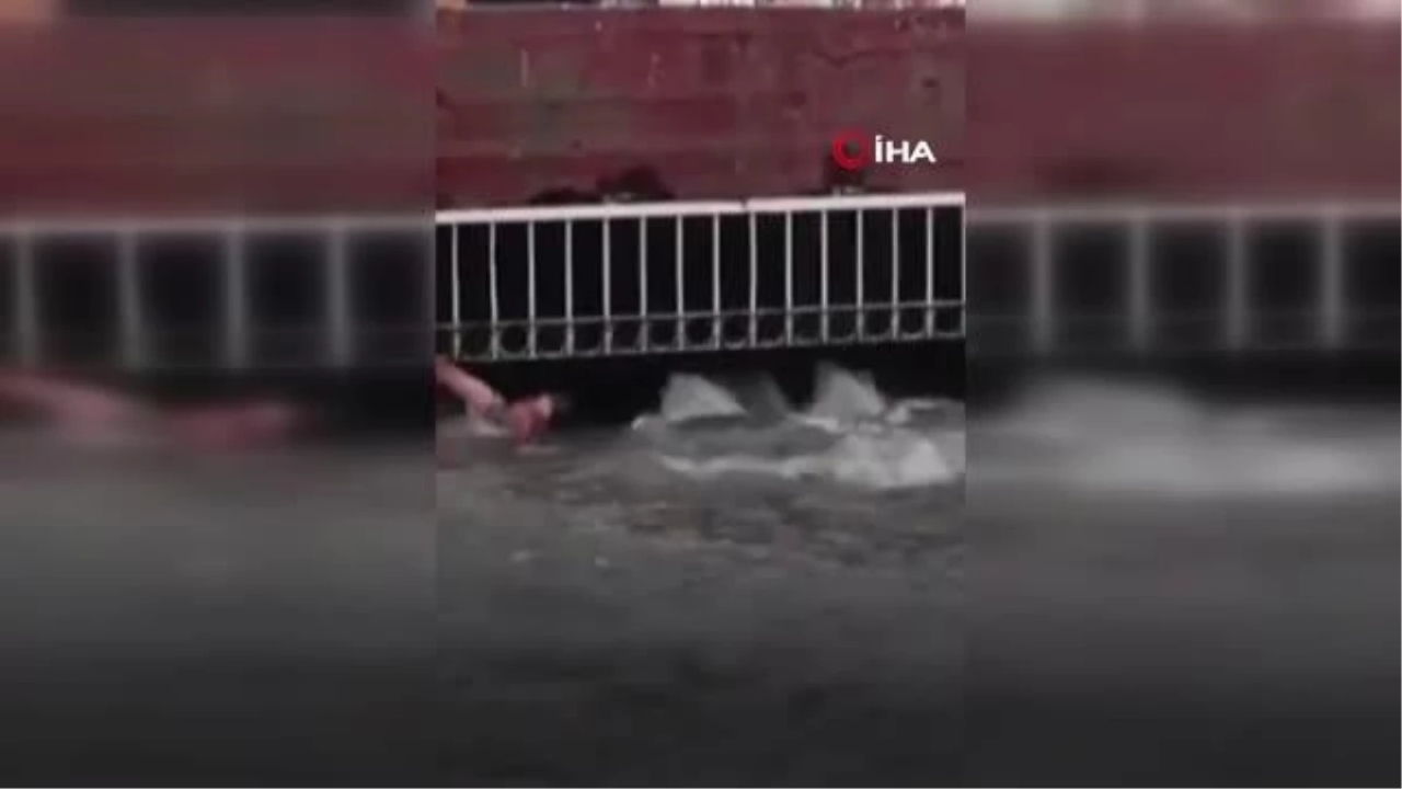 Meksikalı gazeteci selde boğulmak üzere olan evsiz adamı kurtardı