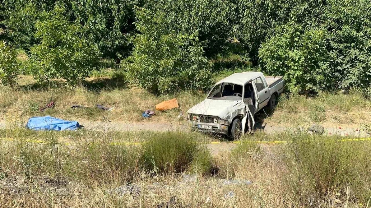 Afyonkarahisar'da Kamyonet Şarampole Devrildi: Sürücü Hayatını Kaybetti, Karısı Ağır Yaralandı
