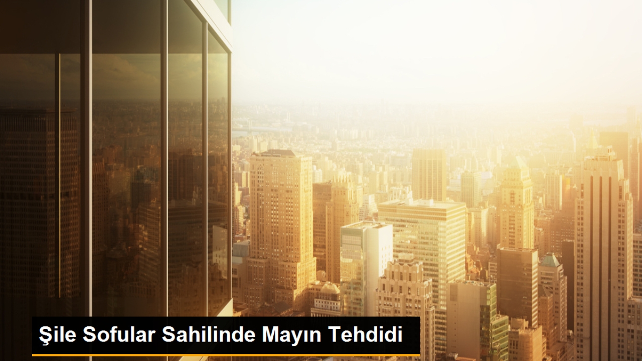 Şile Sofular Sahili Mayın Tehlikesiyle Karşı Karşıya