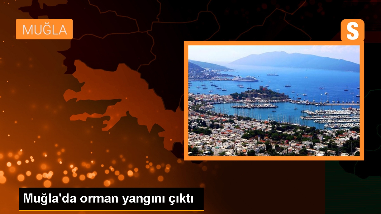 Muğla'da Orman Yangını: Müdahale Devam Ediyor