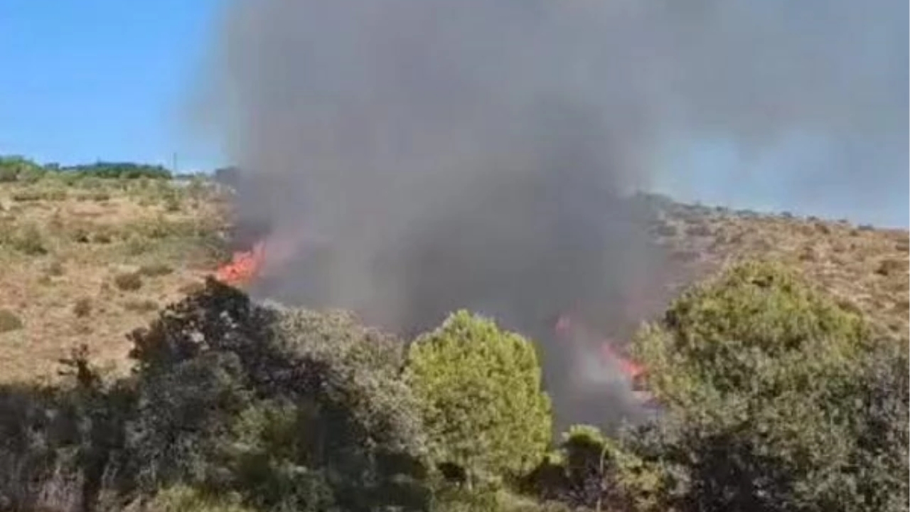Bodrum'da Makilikte Yangın Çıktı