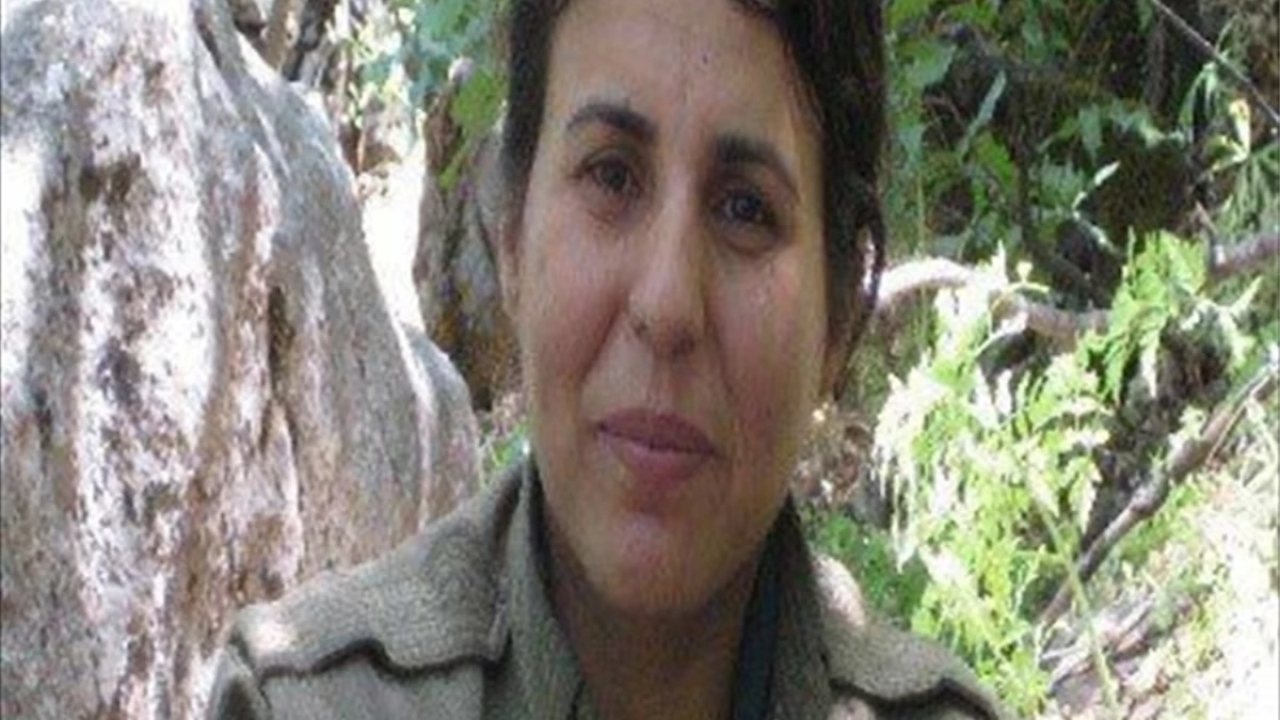 İçişleri Bakanı: PKK Teröristi Ardem Ararat Etkisiz Hale Getirildi