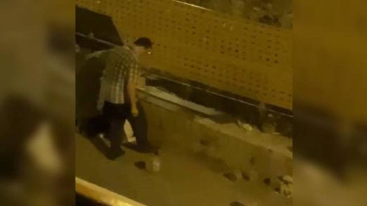 Trabzon'da bir kişi, 2 yavru kediyi ayağıyla ezerek katletti!
