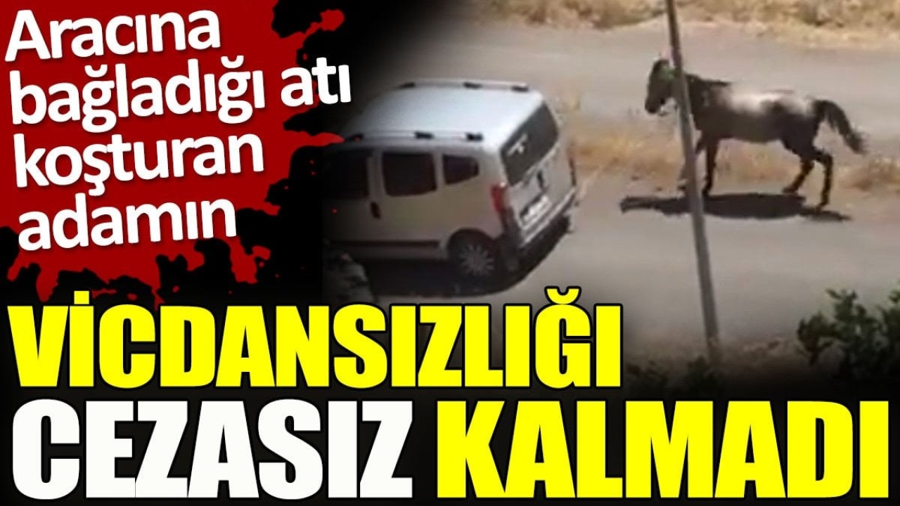 Aracına bağladığı atı koşturan adamın vicdansızlığı cezasız kalmadı