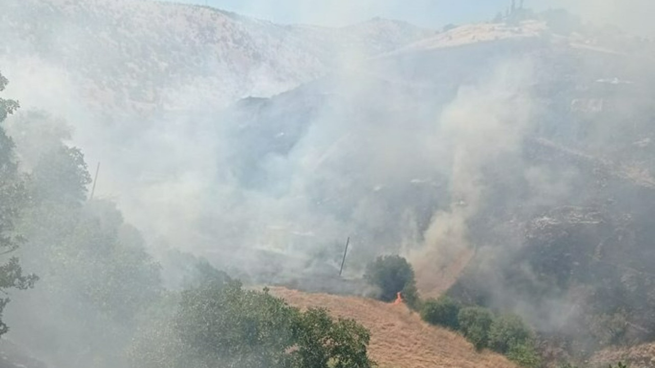Malatya'da orman yangını: İki itfaiyeci yaralandı
