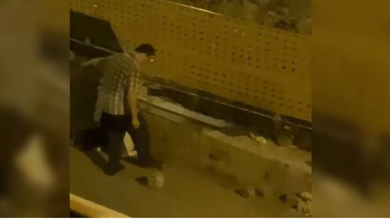 Yavru kedileri ezerek öldürmüştü; mahkemeden çıkar çıkmaz yine kedi çalmaya çalıştı!
