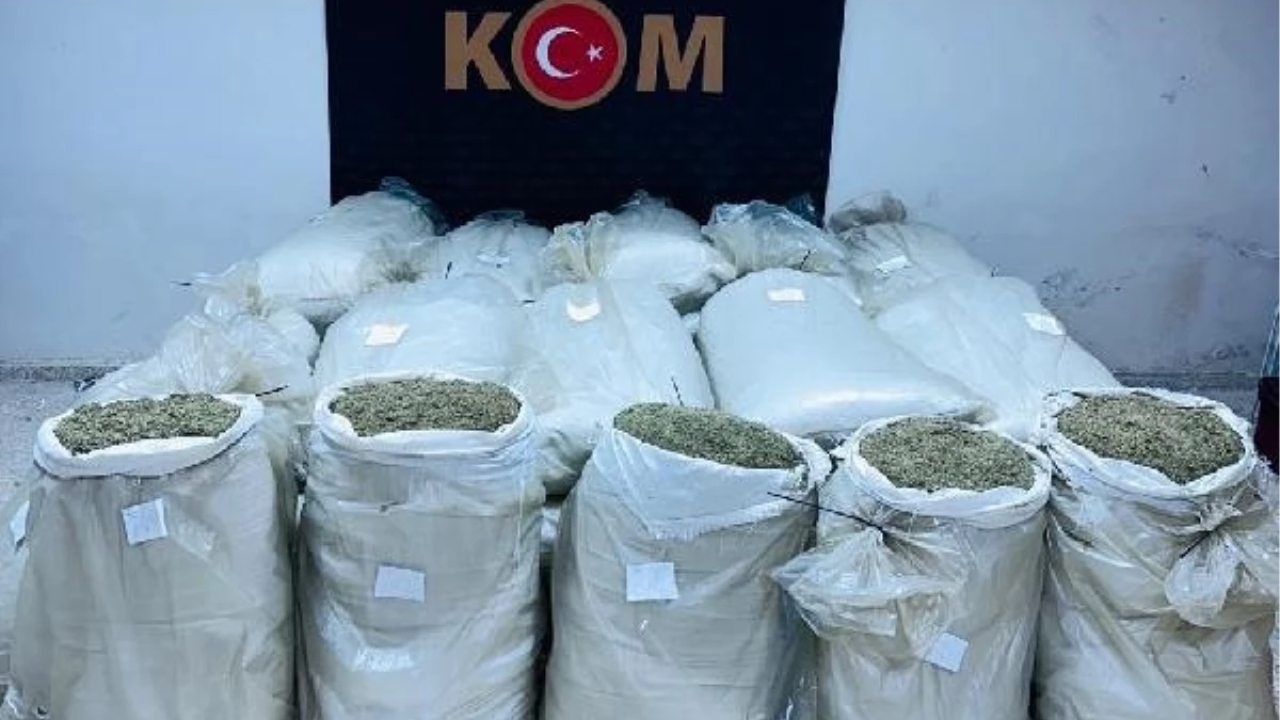 Edirne'de Gümrük Kaçağı 720 Kilo Damiana Çayı Ele Geçirildi