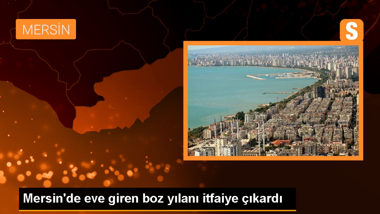 Mersin'de eve giren boz yılanı itfaiye çıkardı