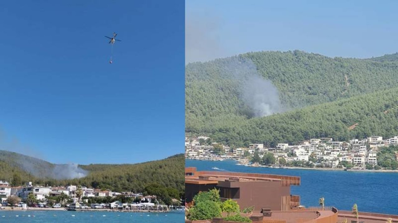 Bodrum'da orman yangını: Ekiplerin müdahalesi devam ediyor