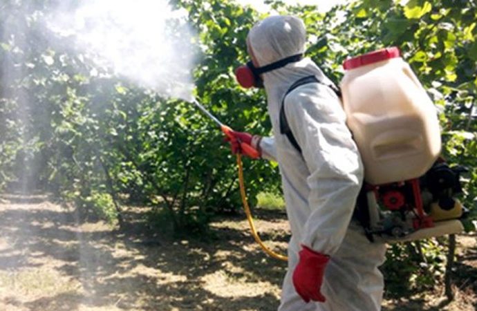 Koronavirüs bitmeden başka bir tehlike daha! 8 ilimizde istila başladı
