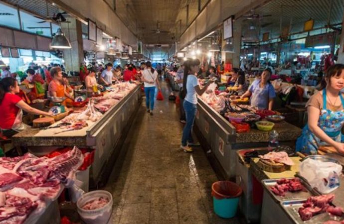 Köpek eti satan restoran sahibinden kan donduran itiraflar: Yavru köpekleri servis ediyoruz