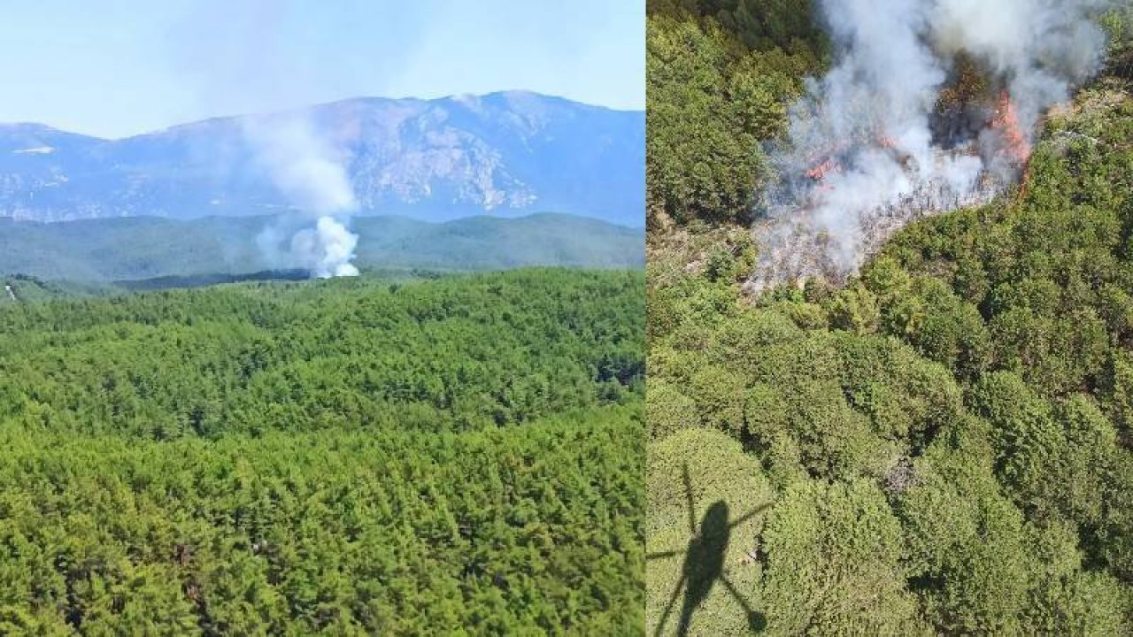 Muğla'da orman yangını: Ekiplerin müdahalesi devam ediyor