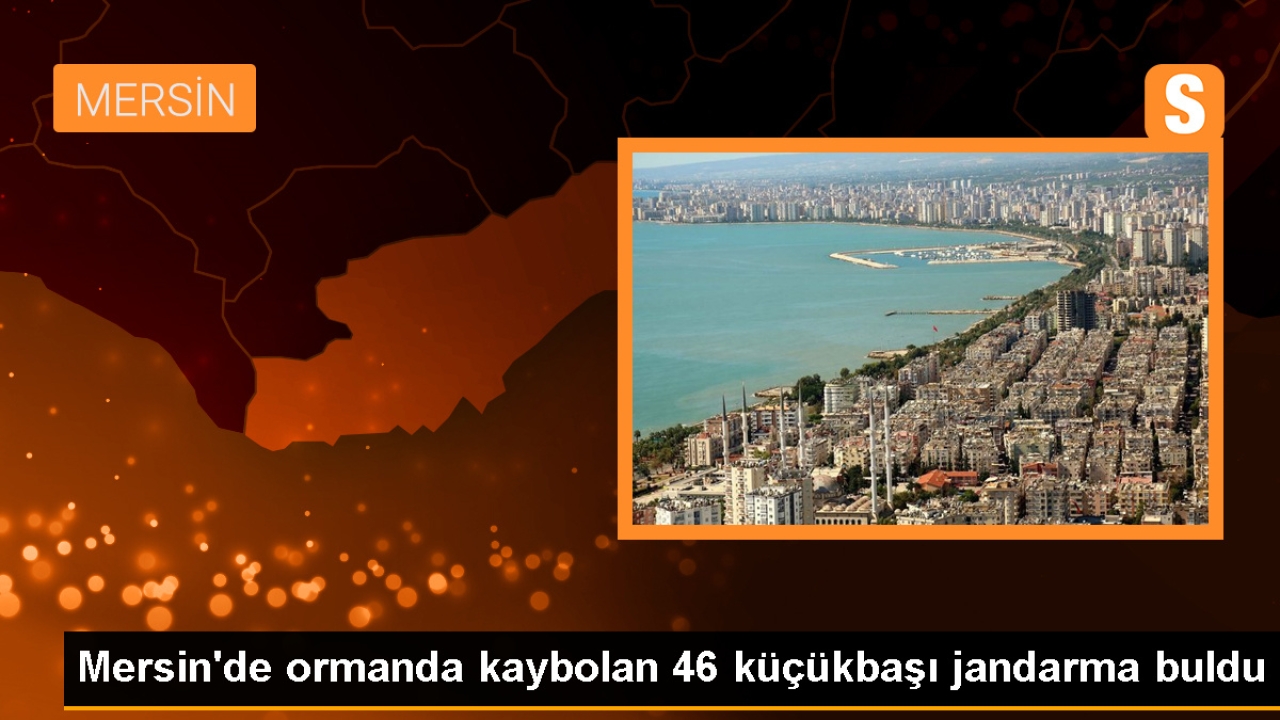 Mersin'de Kaybolan 46 Küçükbaş Hayvan Bulundu
