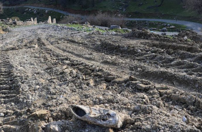 Diyarbakır’daki saldırıyla ilgili 5 kişi gözaltına alındı