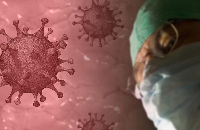 Dünya mevcut olanı yenememişken Bilim insanları, 6 yeni koronavirüs keşfetti!