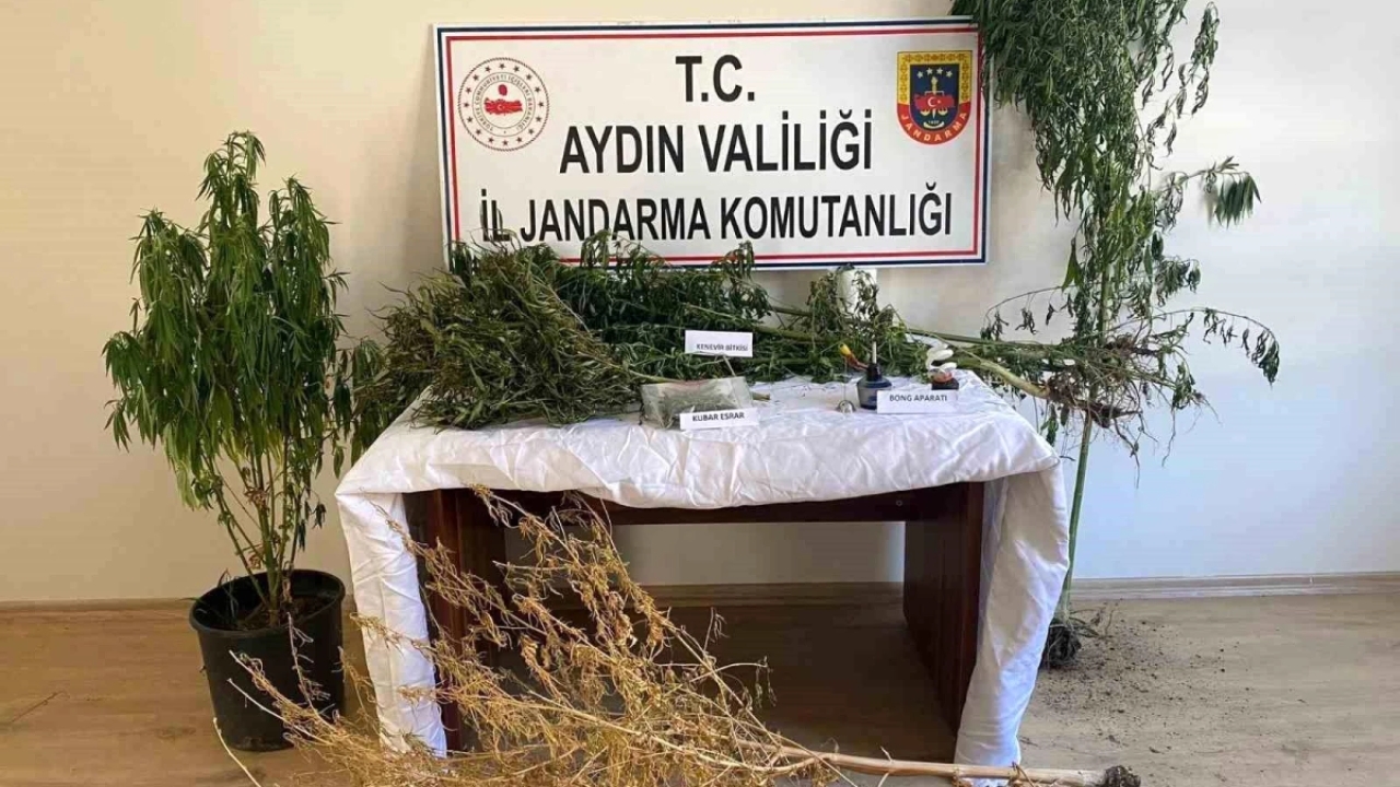 Aydın'da Uyuşturucu Operasyonu: Evde Uyuşturucu Madde ve Kenevir Bitkisi Ele Geçirildi