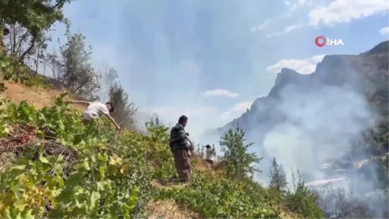 Şemdinli'de çıkan orman yangını korkuttu