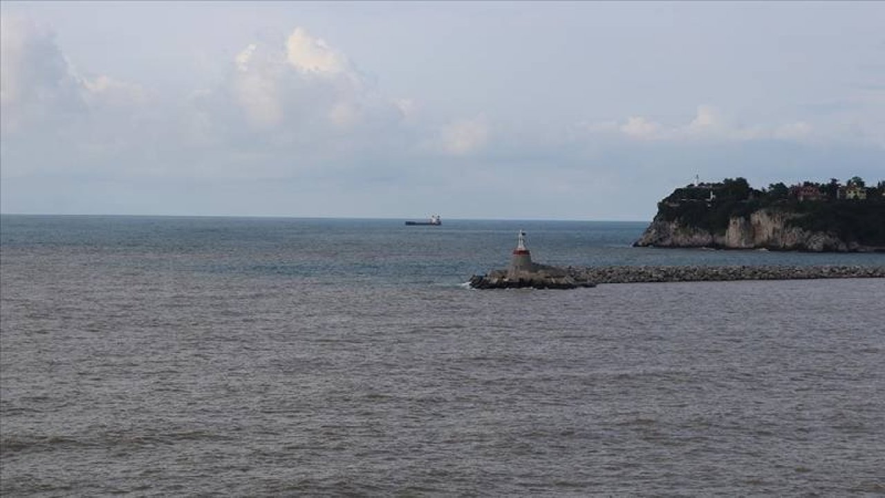 Kocaeli, Sakarya ve Zonguldak'ta denize girmek yasaklandı
