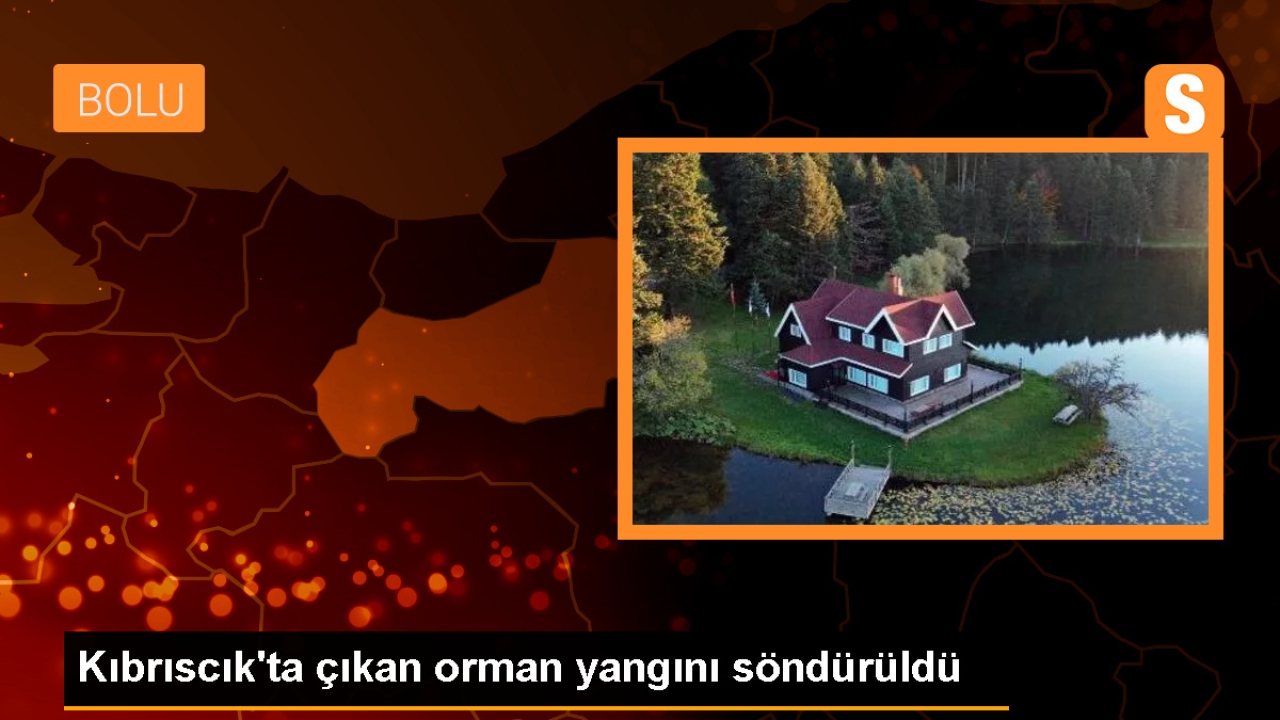 Bolu'nun Kıbrıscık ilçesinde orman yangını söndürüldü
