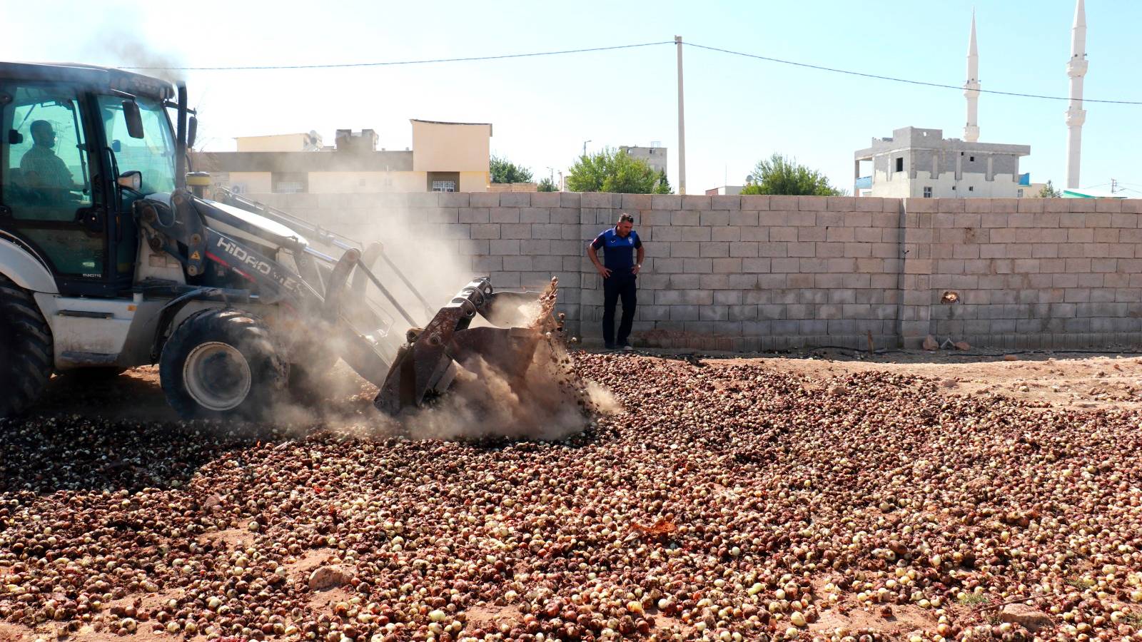 Kurutup yeniden piyasaya süreceklerdi: Zabıta ekipleri 4 ton çürümüş soğanı imha etti